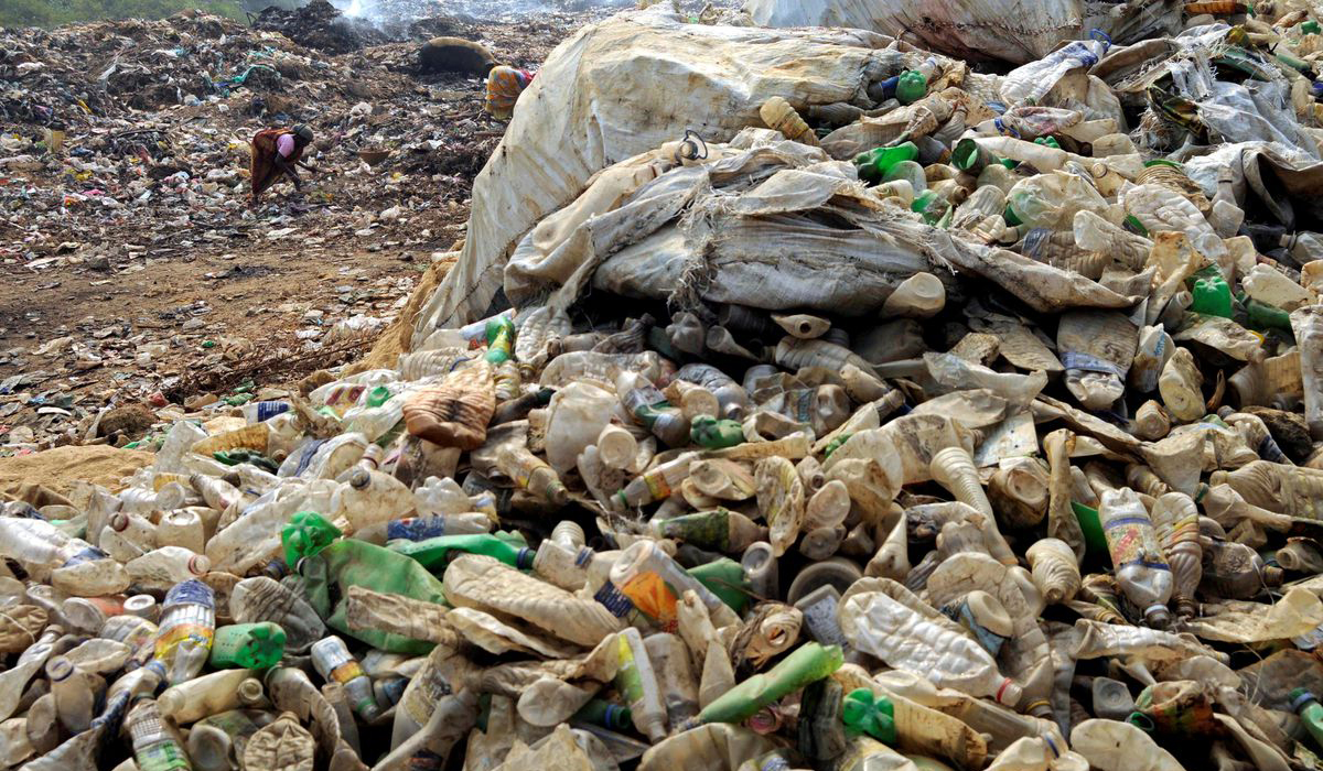 A woman collects plastic bottles for recycling at the garbage dump